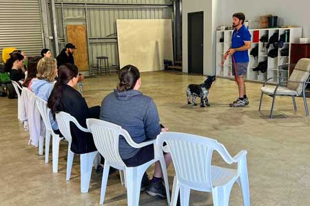 dog training brisbane north