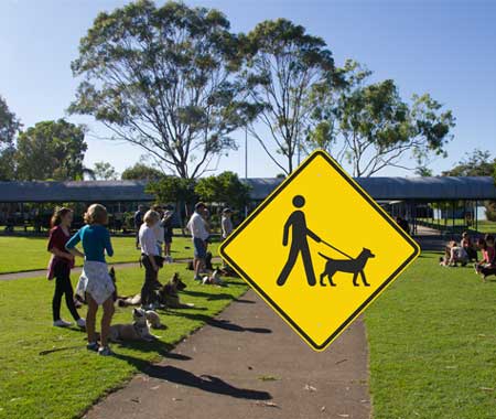 dog leading1