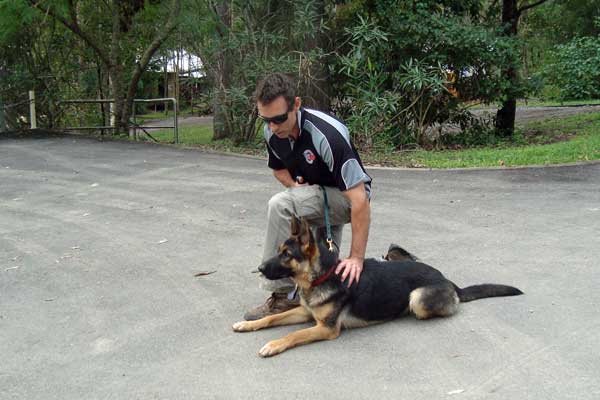 Dog Training Brisbane | The Canine Classroom